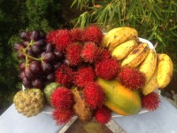 Sri Lanka puuviljad